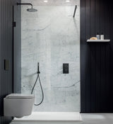 MPRO 2 Outlet 2 Handle Shower Bundle